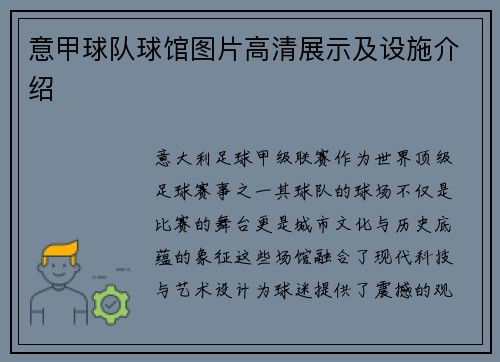 意甲球队球馆图片高清展示及设施介绍